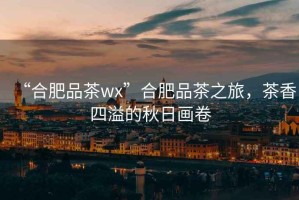“合肥品茶wx”合肥品茶之旅，茶香四溢的秋日畫卷