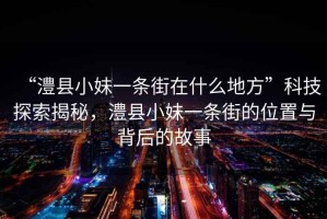 “澧縣小妹一條街在什么地方”科技探索揭秘，澧縣小妹一條街的位置與背后的故事