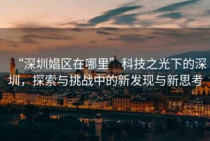 “深圳娼區在哪里”科技之光下的深圳，探索與挑戰中的新發現與新思考