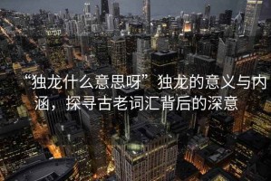 “獨龍什么意思呀”獨龍的意義與內(nèi)涵，探尋古老詞匯背后的深意