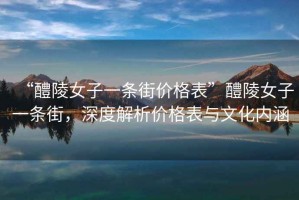 “醴陵女子一條街價格表”醴陵女子一條街，深度解析價格表與文化內(nèi)涵
