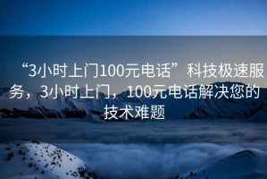 “3小時上門100元電話”科技極速服務，3小時上門，100元電話解決您的技術難題