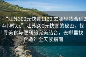“江蘇300元快餐1130.去哪里找合適24小時(shí).cc”江蘇300元快餐的秘密，探尋美食與便利的完美結(jié)合，去哪里找合適？全天候指南