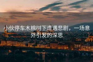 小伙停車木棉樹下遭遇悲劇，一場意外引發的深思