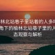 “榆林北站巷子里站著的人多嗎”科技視角下的榆林北站巷子里的人群動態觀察與解析