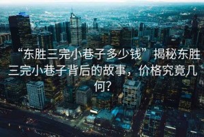 “東勝三完小巷子多少錢”揭秘東勝三完小巷子背后的故事，價格究竟幾何？