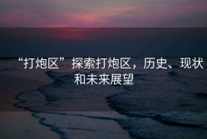 “打炮區(qū)”探索打炮區(qū)，歷史、現(xiàn)狀和未來展望