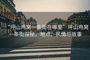 “坪山雞窩一條街在哪里”坪山雞窩一條街探秘，地點(diǎn)、風(fēng)情與故事