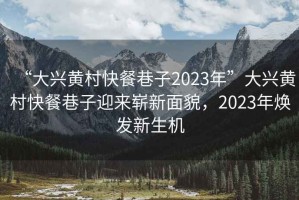 “大興黃村快餐巷子2023年”大興黃村快餐巷子迎來嶄新面貌，2023年煥發新生機