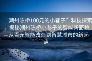 “潮州陳橋100元的小巷子”科技探索，揭秘潮州陳橋小巷子的智能新面貌—從百元智能改造到智慧城市的新起點
