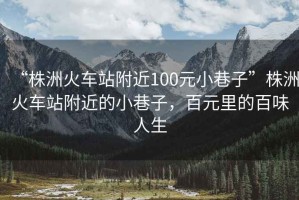 “株洲火車站附近100元小巷子”株洲火車站附近的小巷子，百元里的百味人生