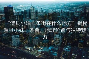 “澧縣小妹一條街在什么地方”揭秘澧縣小妹一條街，地理位置與獨特魅力