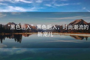 “黑色后入”黑色后入，時尚潮流的新寵兒