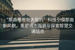 “那曲哪有站大街的”科技引領那曲新風貌，重塑城市面貌與探索智慧交通站點