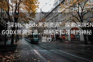 “深圳sngodx黑洞資源”探索深圳SNGODX黑洞資源，揭秘未知領(lǐng)域的神秘面紗