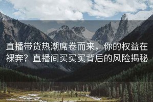 直播帶貨熱潮席卷而來，你的權(quán)益在裸奔？直播間買買買背后的風(fēng)險(xiǎn)揭秘