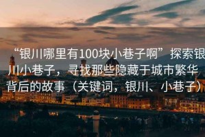 “銀川哪里有100塊小巷子啊”探索銀川小巷子，尋找那些隱藏于城市繁華背后的故事（關鍵詞，銀川、小巷子）