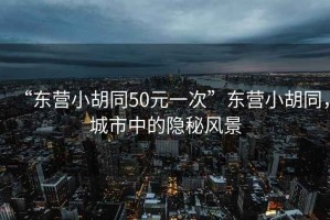 “東營小胡同50元一次”東營小胡同，城市中的隱秘風景