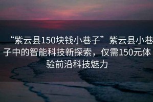 “紫云縣150塊錢小巷子”紫云縣小巷子中的智能科技新探索，僅需150元體驗前沿科技魅力
