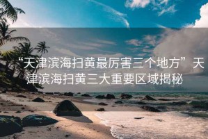 “天津濱海掃黃最厲害三個地方”天津濱海掃黃三大重要區域揭秘