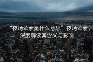 “夜場葷素是什么意思”夜場葷素，深度解讀其含義與影響