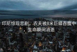 印尼驚現(xiàn)悲劇，農(nóng)夫被8米巨蟒吞腹中，生命瞬間消逝