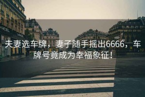 夫妻選車牌，妻子隨手搖出6666，車牌號竟成為幸福象征！