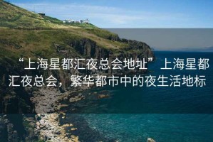 “上海星都匯夜總會地址”上海星都匯夜總會，繁華都市中的夜生活地標