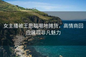 女主播被王思聰嘲地攤貨，高情商回應展現非凡魅力