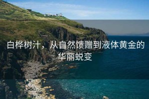 白樺樹汁，從自然饋贈(zèng)到液體黃金的華麗蛻變