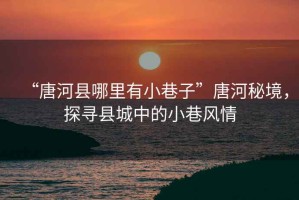 “唐河縣哪里有小巷子”唐河秘境，探尋縣城中的小巷風情