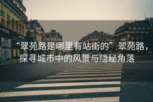 “翠苑路是哪里有站街的”翠苑路，探尋城市中的風景與隱秘角落