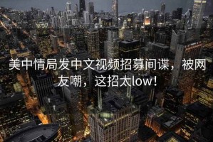 美中情局發中文視頻招募間諜，被網友嘲，這招太low！