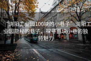 “瀏陽工業園100塊的小巷子”瀏陽工業園隱秘的巷子，探尋百塊小巷的獨特魅力