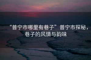 “普寧市哪里有巷子”普寧市探秘，巷子的風情與韻味