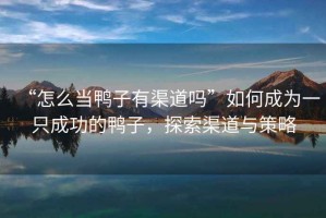 “怎么當(dāng)鴨子有渠道嗎”如何成為一只成功的鴨子，探索渠道與策略