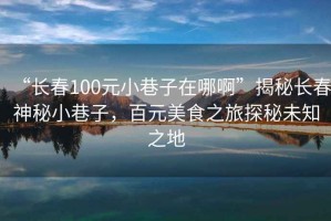 “長春100元小巷子在哪啊”揭秘長春神秘小巷子，百元美食之旅探秘未知之地