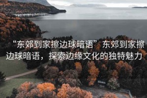 “東郊到家擦邊球暗語”東郊到家擦邊球暗語，探索邊緣文化的獨特魅力