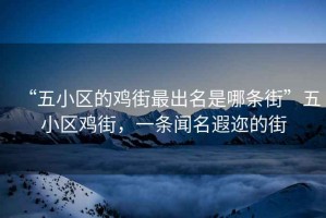 “五小區(qū)的雞街最出名是哪條街”五小區(qū)雞街，一條聞名遐邇的街