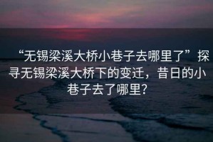 “無錫梁溪大橋小巷子去哪里了”探尋無錫梁溪大橋下的變遷，昔日的小巷子去了哪里？