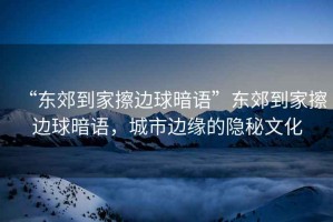 “東郊到家擦邊球暗語”東郊到家擦邊球暗語，城市邊緣的隱秘文化