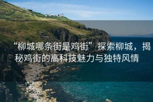 “柳城哪條街是雞街”探索柳城，揭秘雞街的高科技魅力與獨(dú)特風(fēng)情