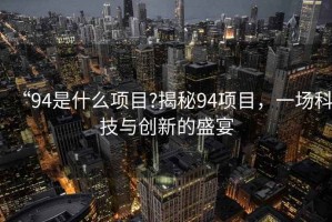 “94是什么項目?揭秘94項目，一場科技與創新的盛宴