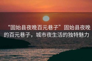 “固始縣夜晚百元巷子”固始縣夜晚的百元巷子，城市夜生活的獨特魅力