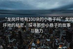 “龍崗坪地有100塊的小巷子嗎”龍崗坪地的秘密，探尋那些小巷子的故事與魅力