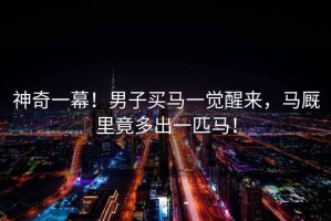 神奇一幕！男子買馬一覺醒來，馬廄里竟多出一匹馬！