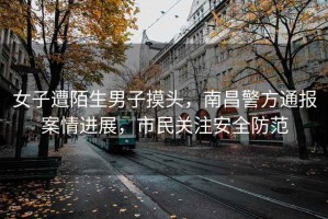 女子遭陌生男子摸頭，南昌警方通報案情進展，市民關注安全防范