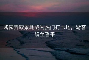 醬園弄取景地成為熱門打卡地，游客紛至沓來