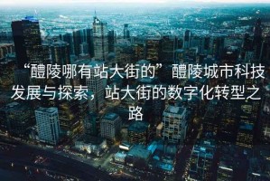 “醴陵哪有站大街的”醴陵城市科技發展與探索，站大街的數字化轉型之路