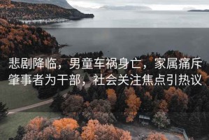 悲劇降臨，男童車禍身亡，家屬痛斥肇事者為干部，社會關注焦點引熱議